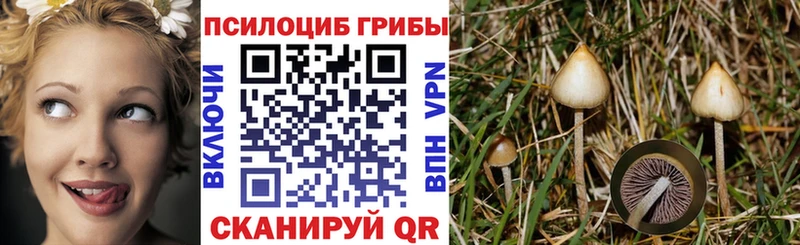 Псилоцибиновые грибы Psilocybine cubensis  где можно купить   Обоянь 